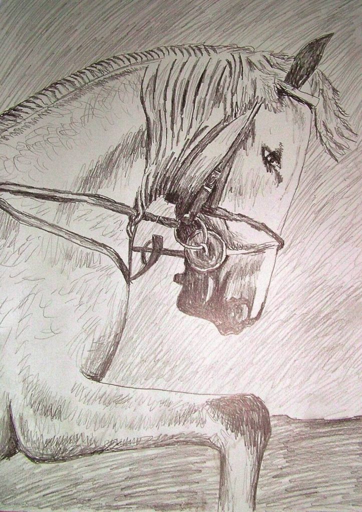 Rysunek wykonany ołówkiem przedstawiający konia