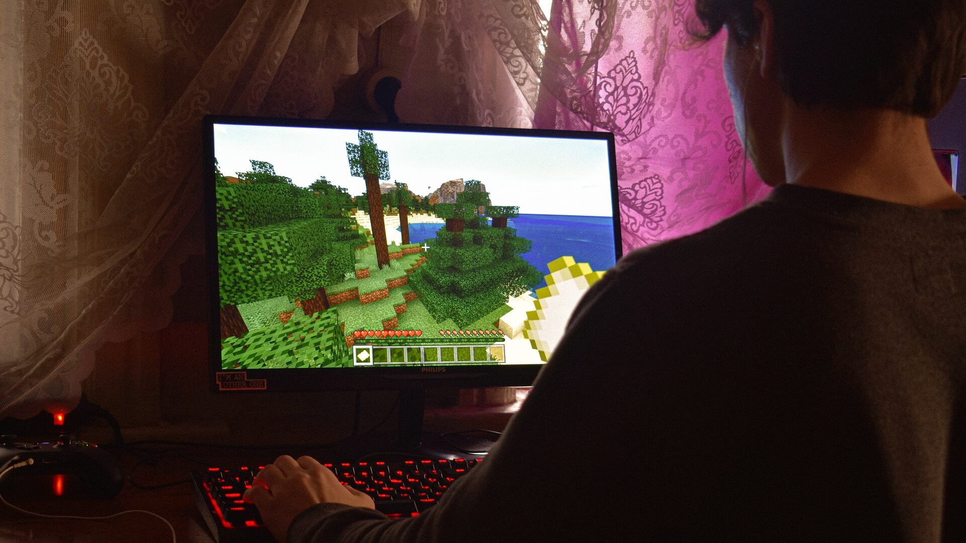 Mężczyzna grający w grę komputerową „Minecraft”