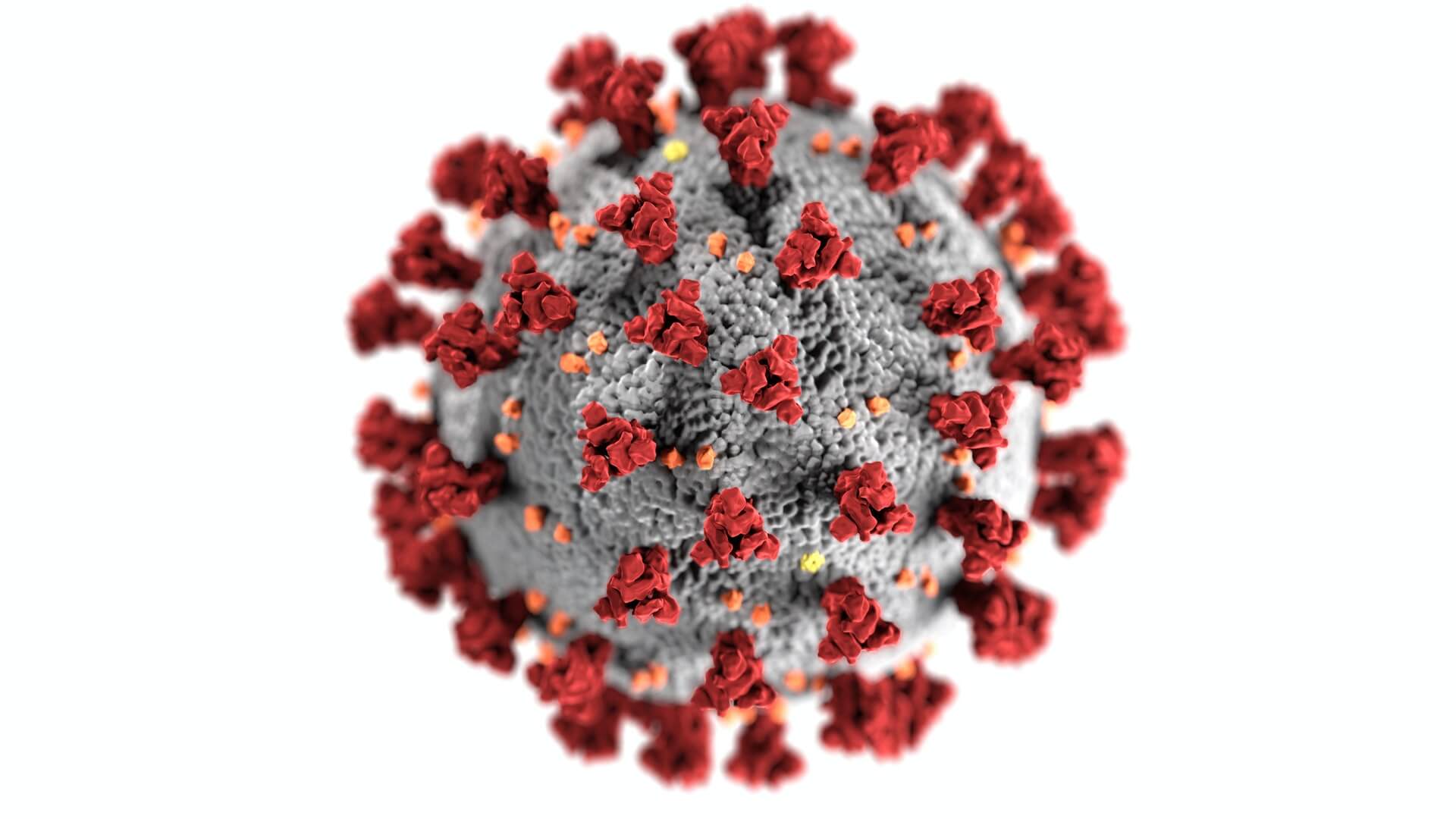 Ilustracja wirusa SARS-CoV-2
