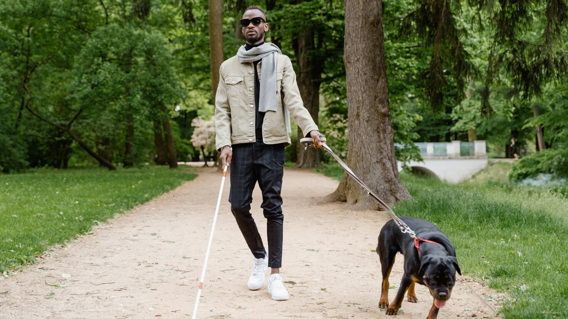 Niewidomy mężczyzna w parku z psem asystującym na smyczy